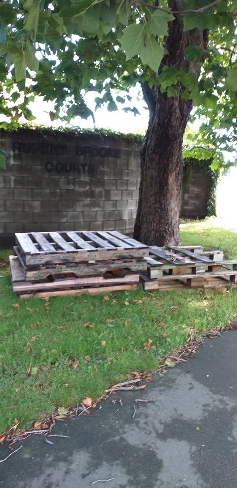 Rubbish/Recycling, a report photo