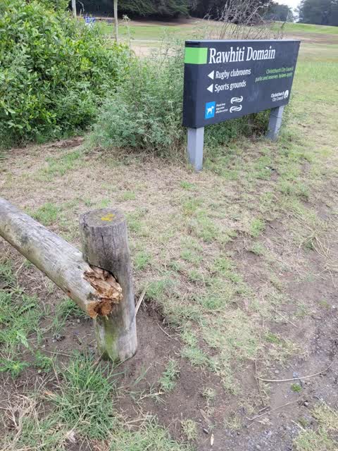 Parks — a report photo