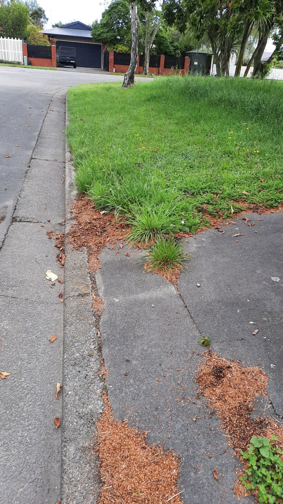 The photograph attached to this roading/streets report