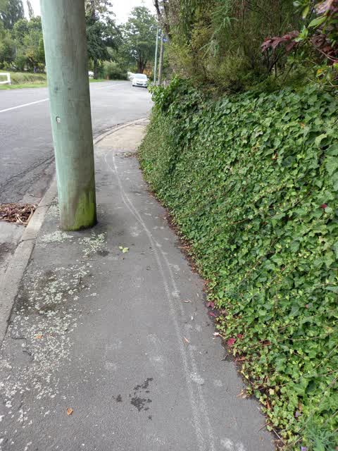 Roading/Streets, a report photo