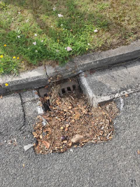 Roading/Streets, a report photo
