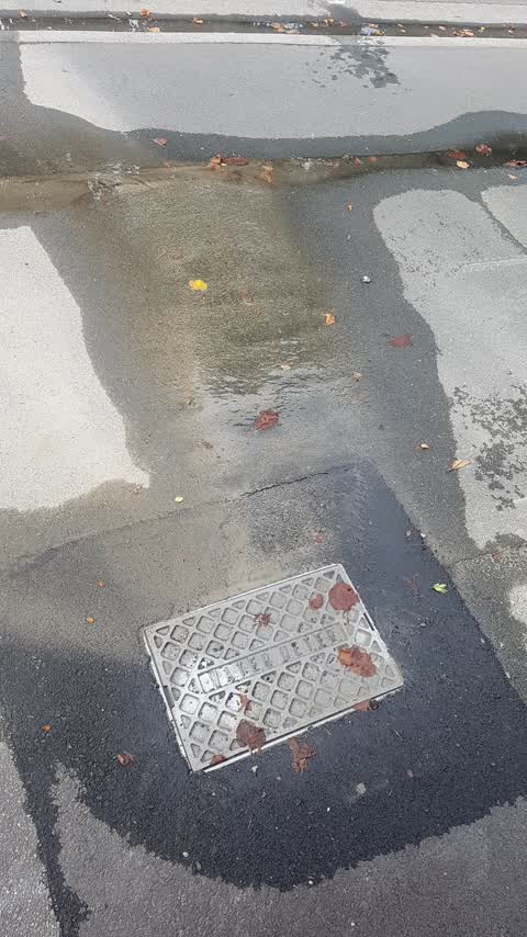 Water Leak, a report photo