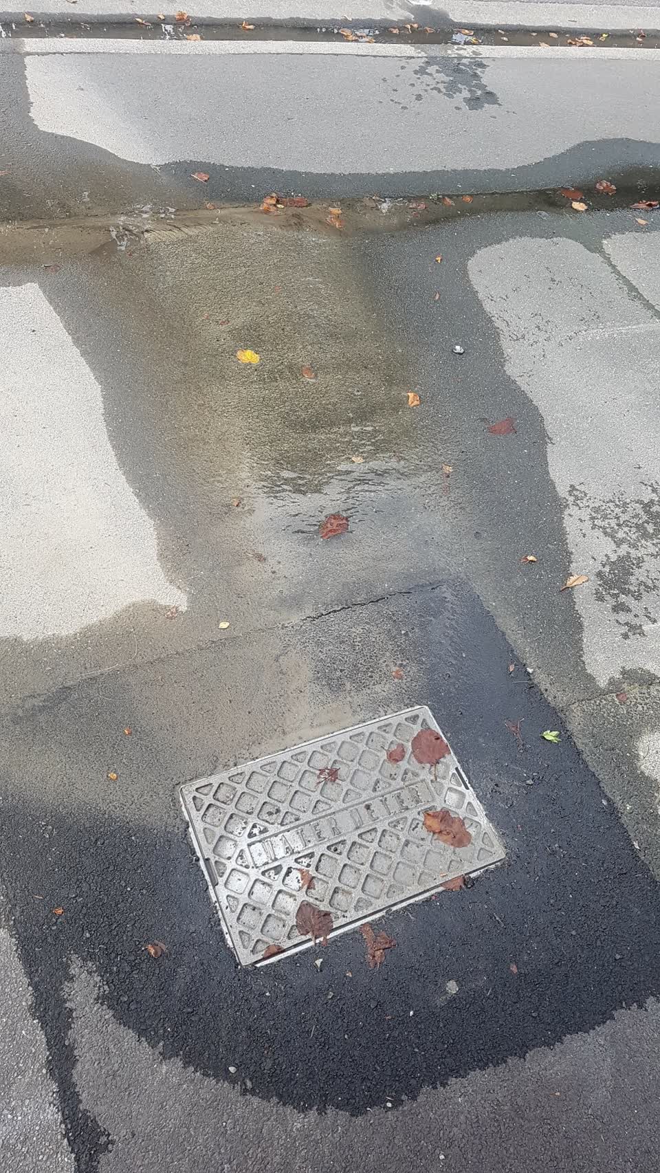 The photograph attached to this water leak report