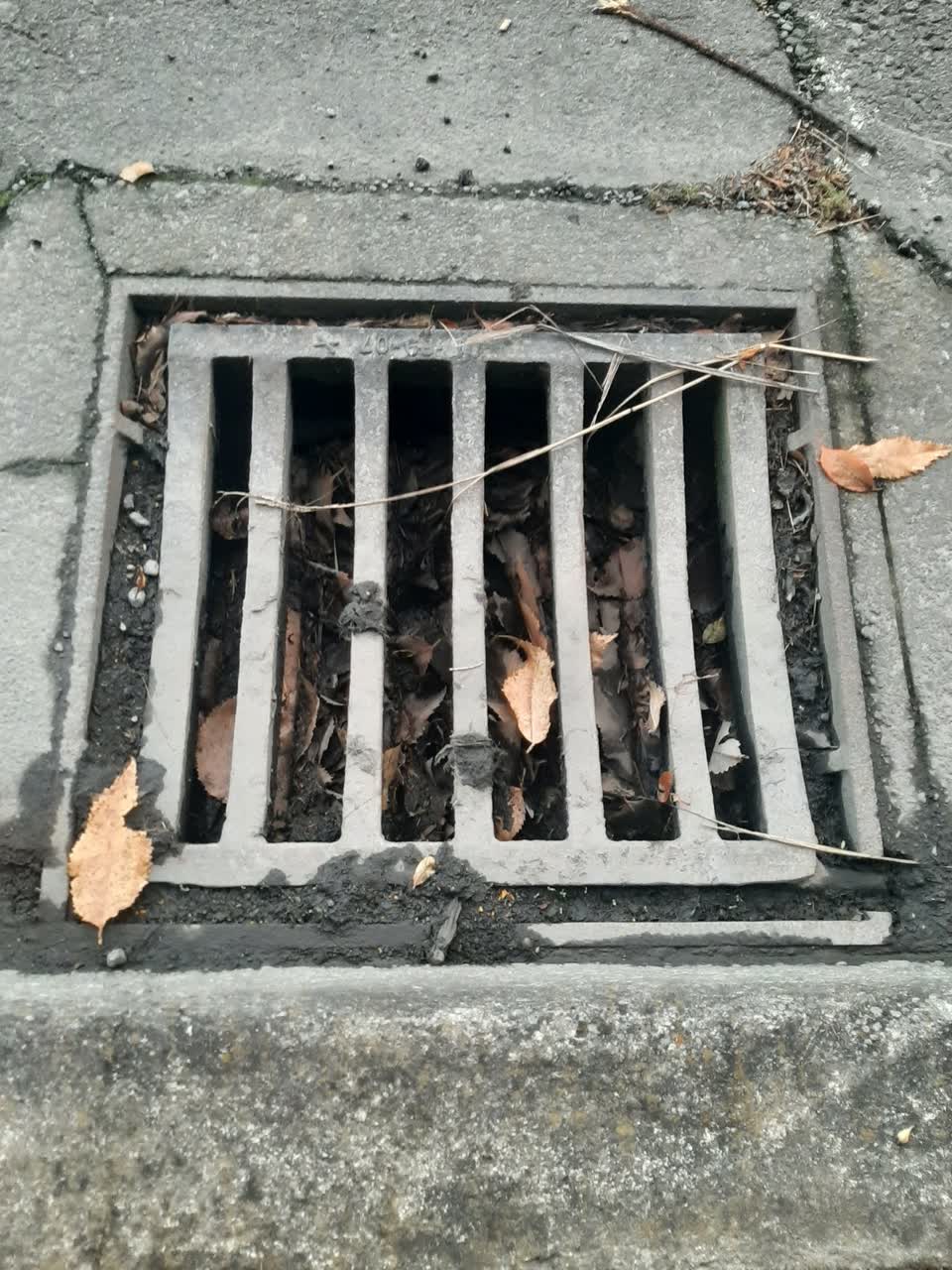 The photograph attached to this wastewater/stormwater report
