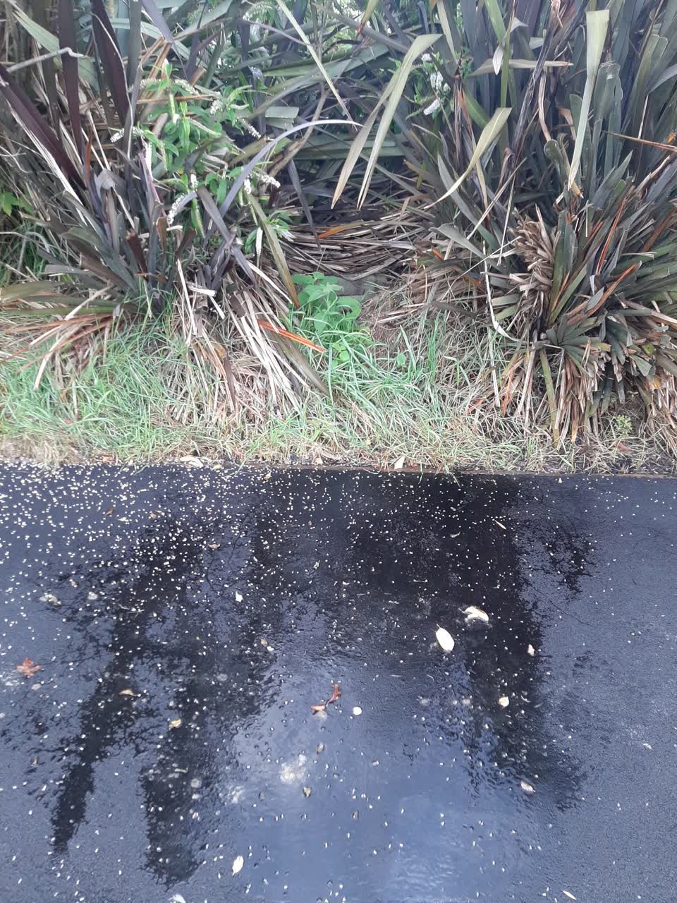 The photograph attached to this water leak report