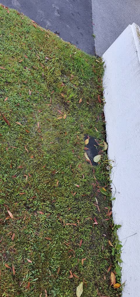Water Leak, a report photo
