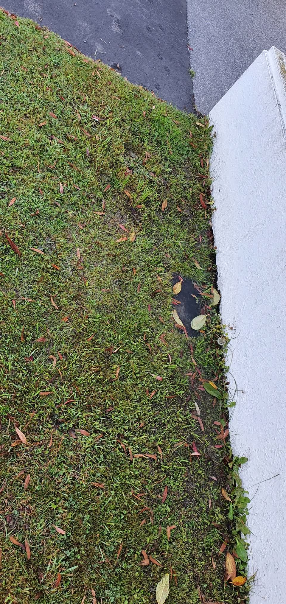 The photograph attached to this water leak report