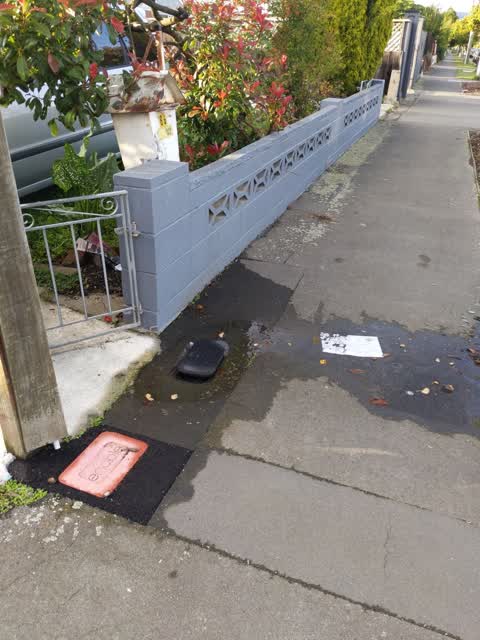 Water Leak, a report photo