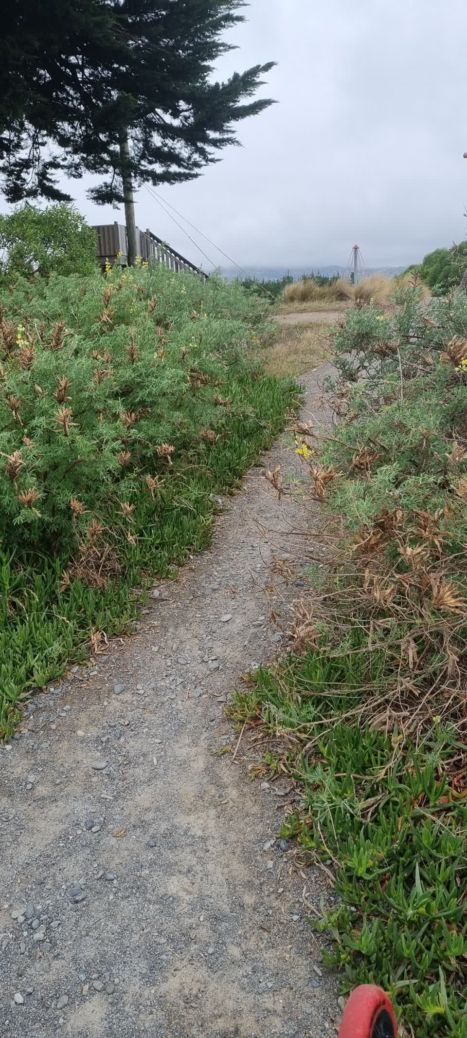 The photograph attached to this parks report