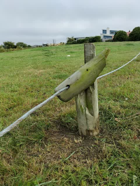 Parks, a report photo