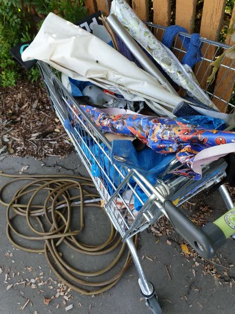 Rubbish/Recycling, a report photo
