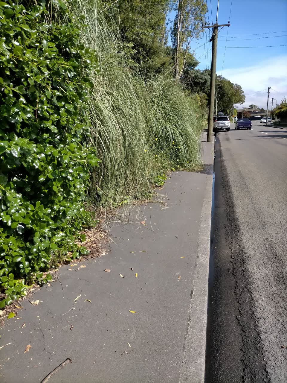 The photograph attached to this roading/streets report