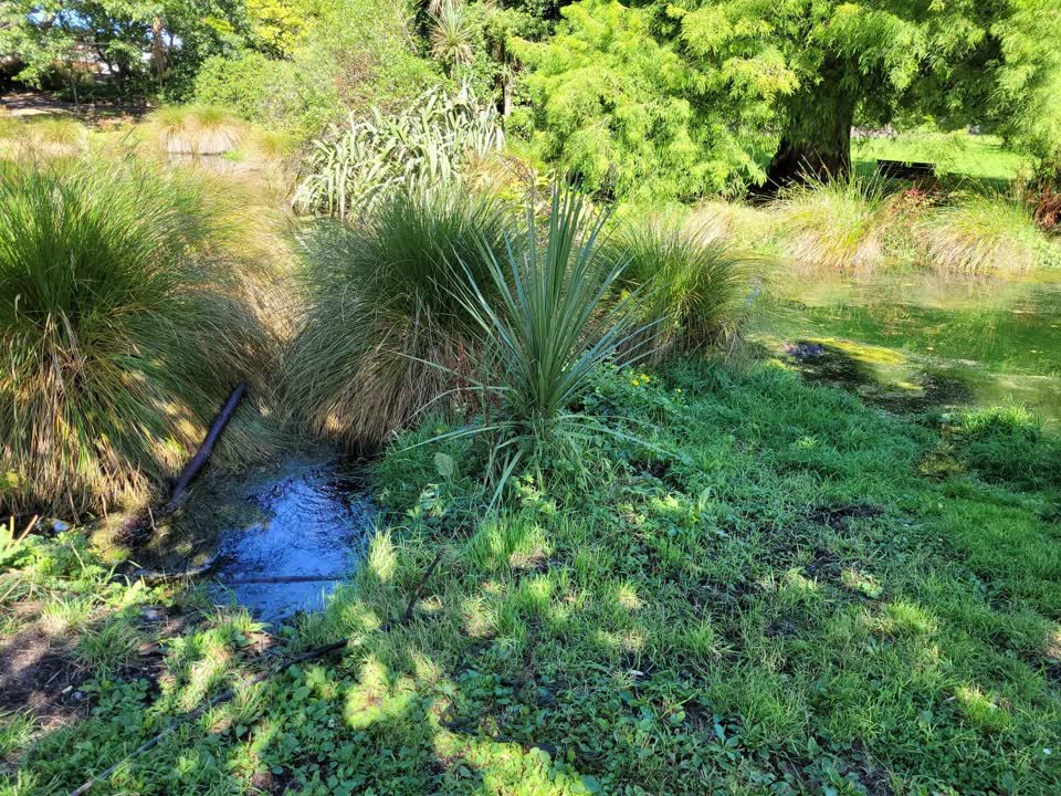 The photograph attached to this wastewater/stormwater report