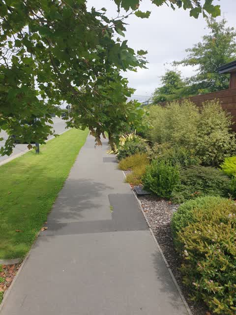 Roading/Streets, a report photo