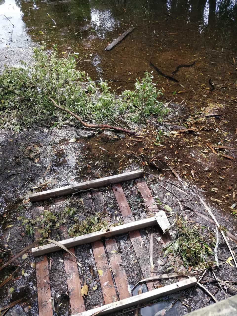 The photograph attached to this parks report