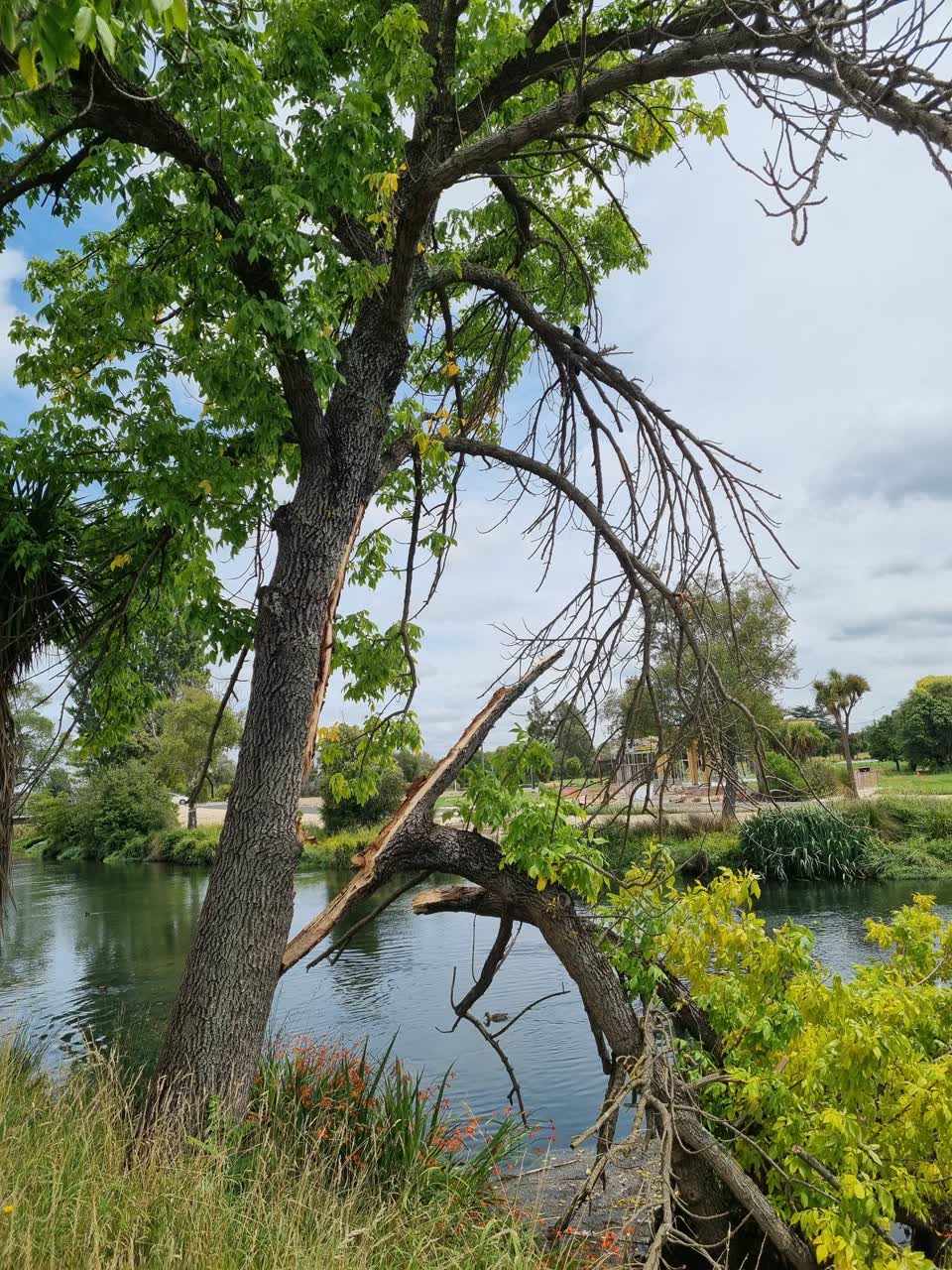 The photograph attached to this parks report