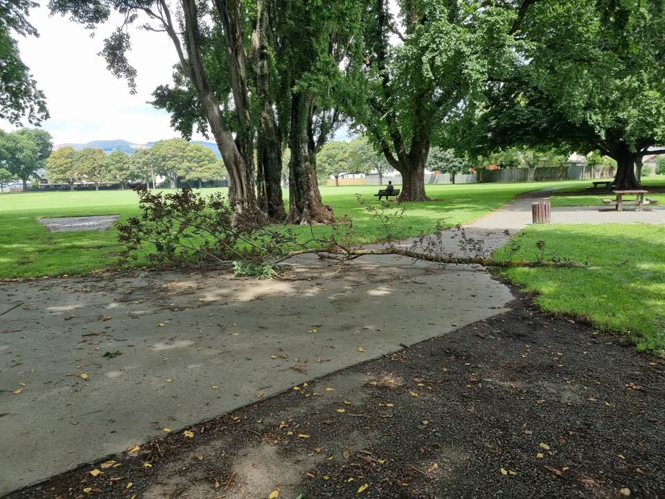 The photograph attached to this parks report