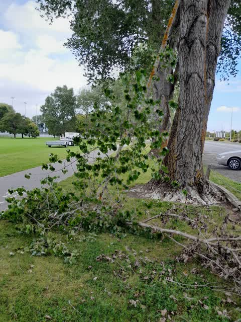 Parks, a report photo