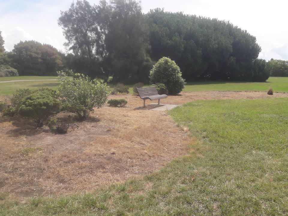 The photograph attached to this parks report