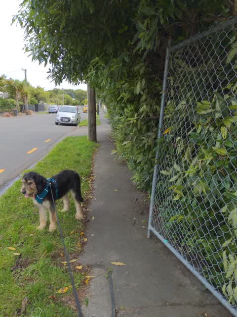 Roading/Streets, a report photo
