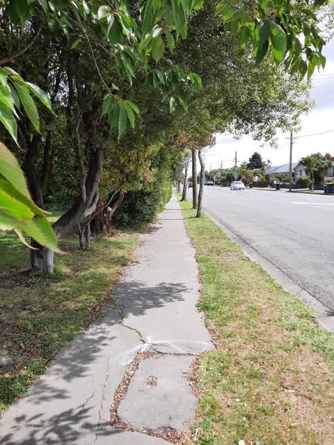 Roading/Streets, a report photo