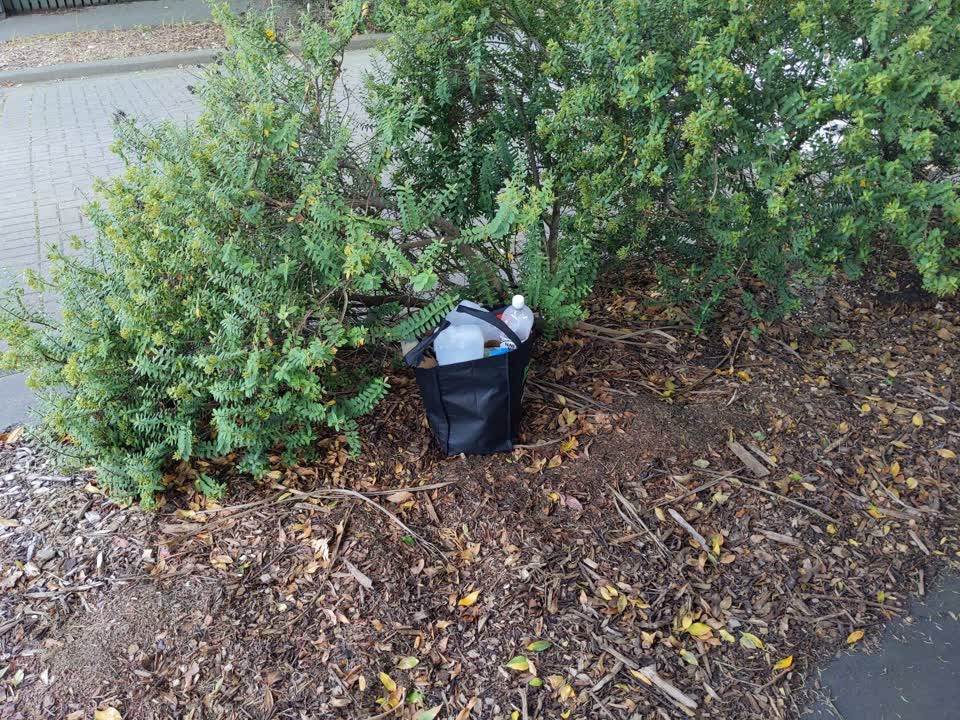 The photograph attached to this rubbish/recycling report