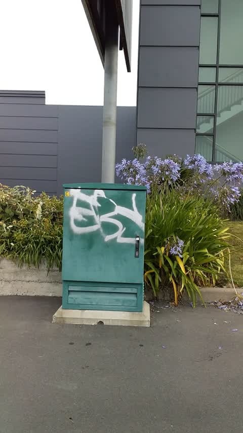 Graffiti, a report photo