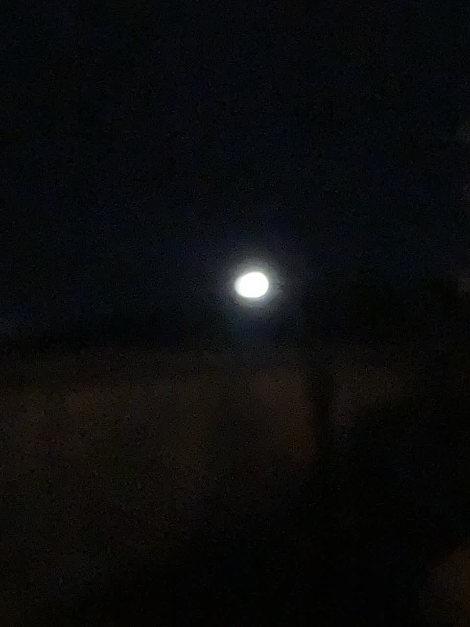 The photograph attached to this street light outage report