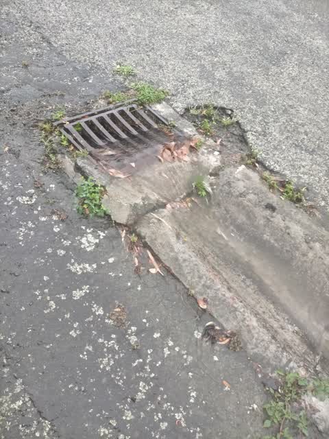 Wastewater/Stormwater, a report photo