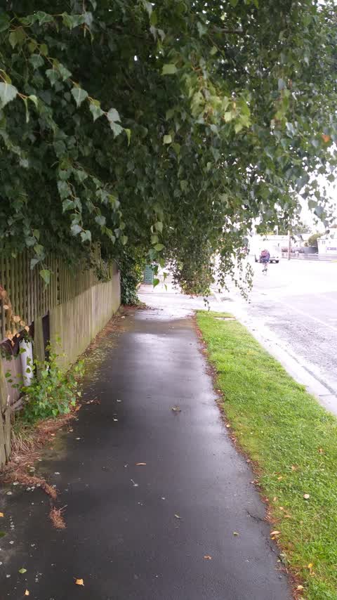 Roading/Streets, a report photo