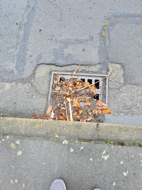 Wastewater/Stormwater, a report photo