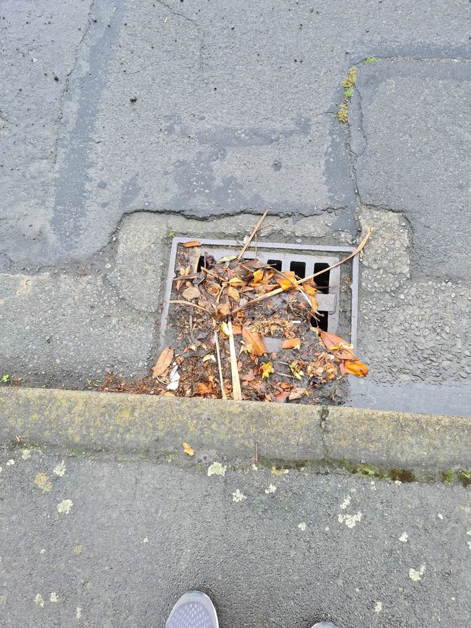 The photograph attached to this wastewater/stormwater report