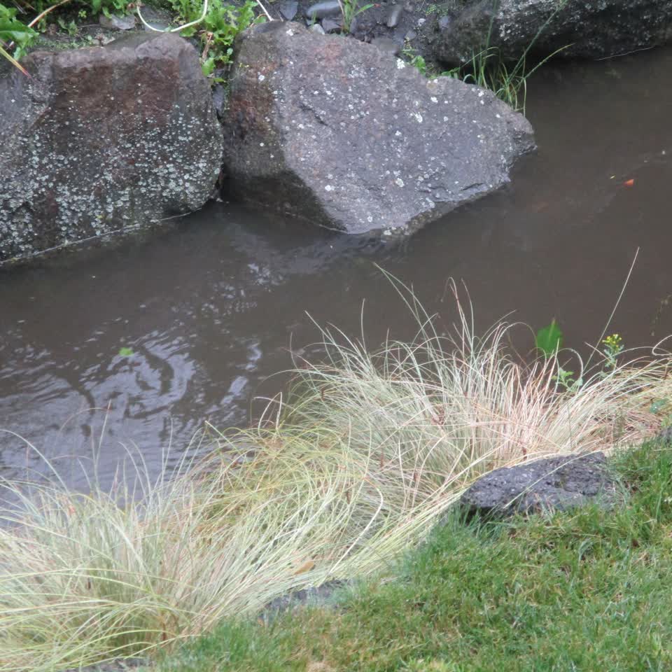 The photograph attached to this wastewater/stormwater report