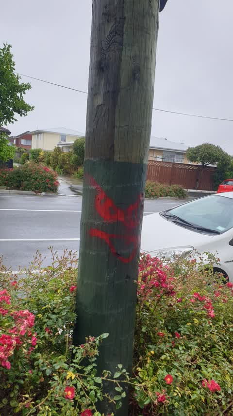 Graffiti, a report photo