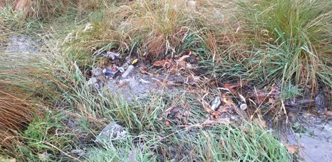 Rubbish/Recycling, a report photo