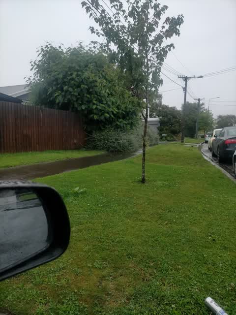 Roading/Streets, a report photo