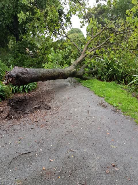 Parks, a report photo