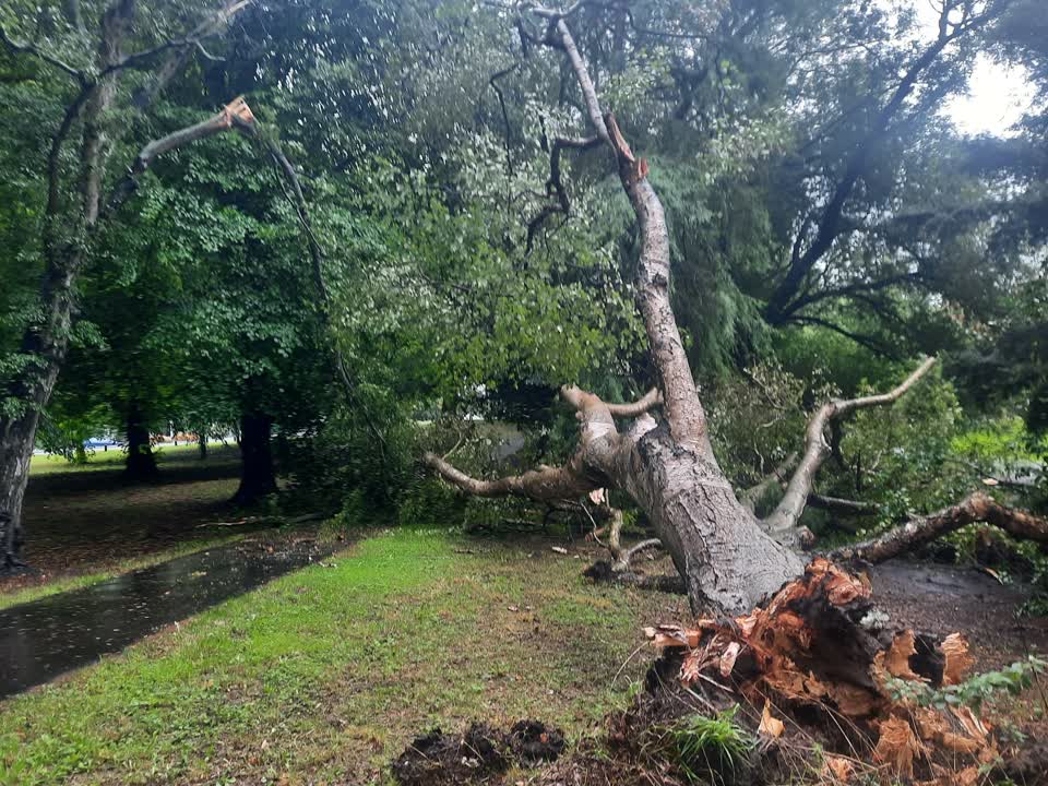 The photograph attached to this parks report