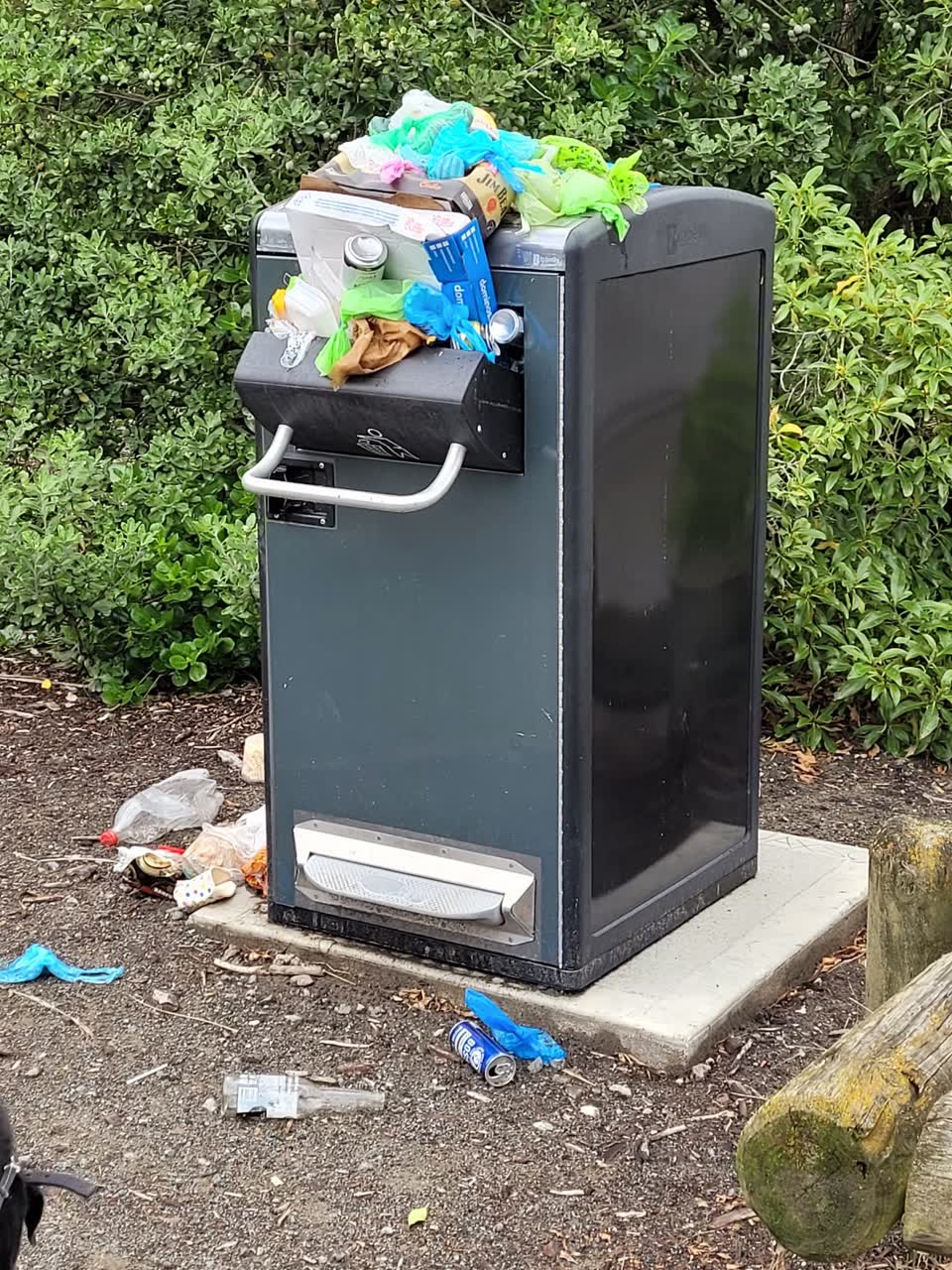 The photograph attached to this rubbish/recycling report
