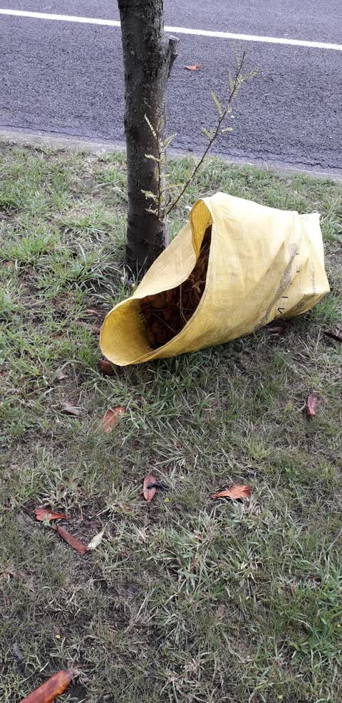 Rubbish/Recycling, a report photo