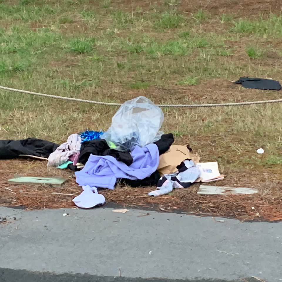 The photograph attached to this rubbish/recycling report