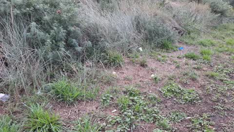 Parks, a report photo