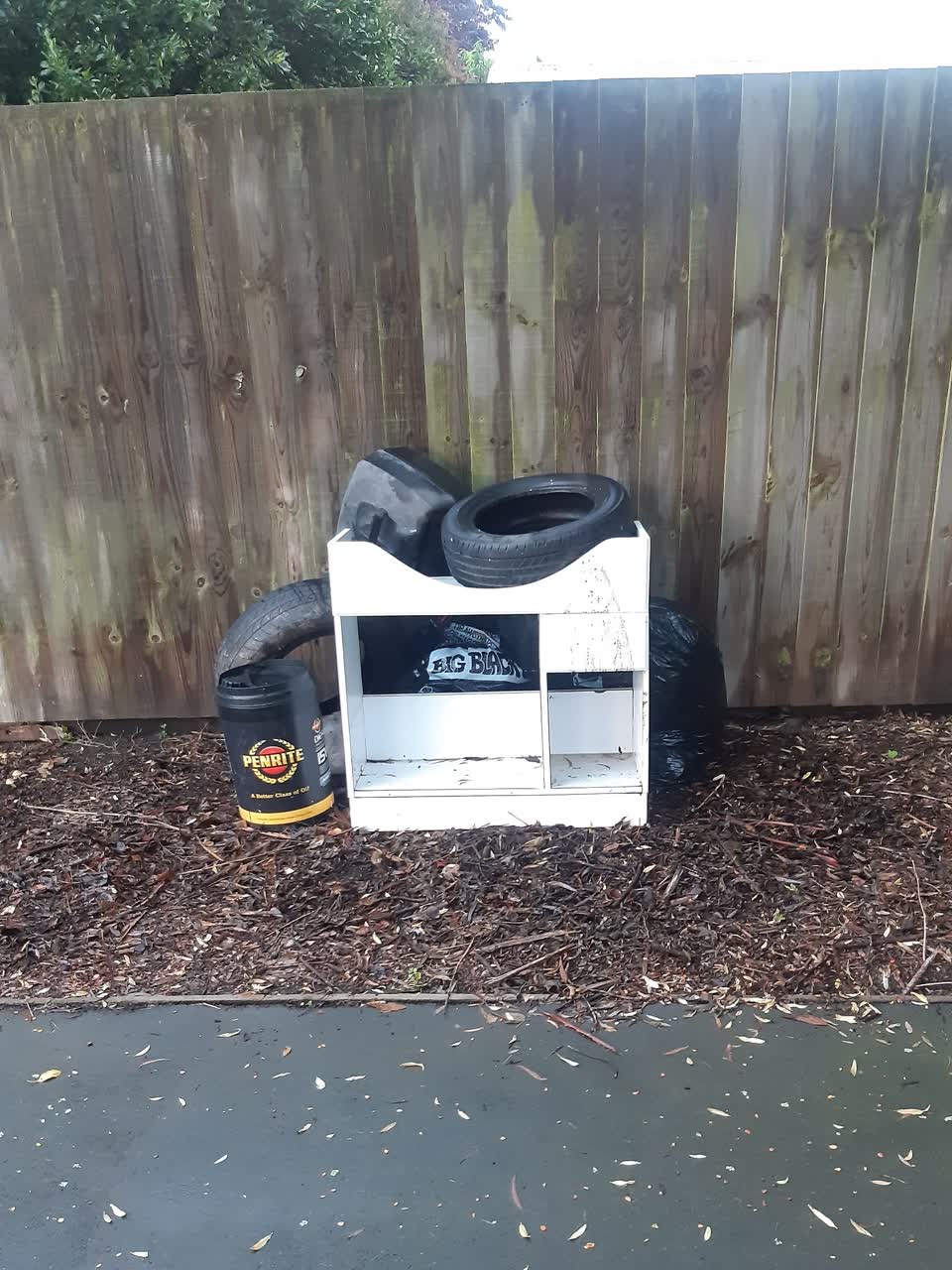 The photograph attached to this parks report