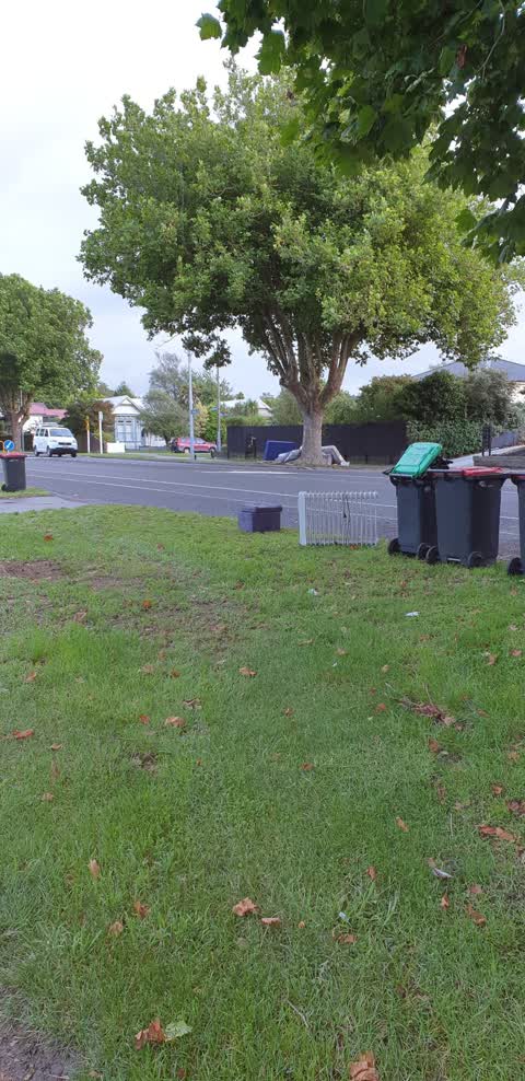 Rubbish/Recycling, a report photo