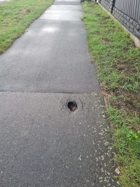 Roading/Streets, a report photo
