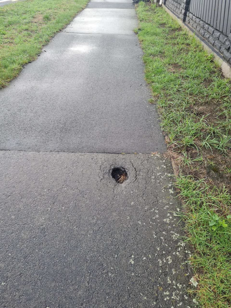 The photograph attached to this roading/streets report