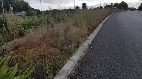 Parks, a report photo