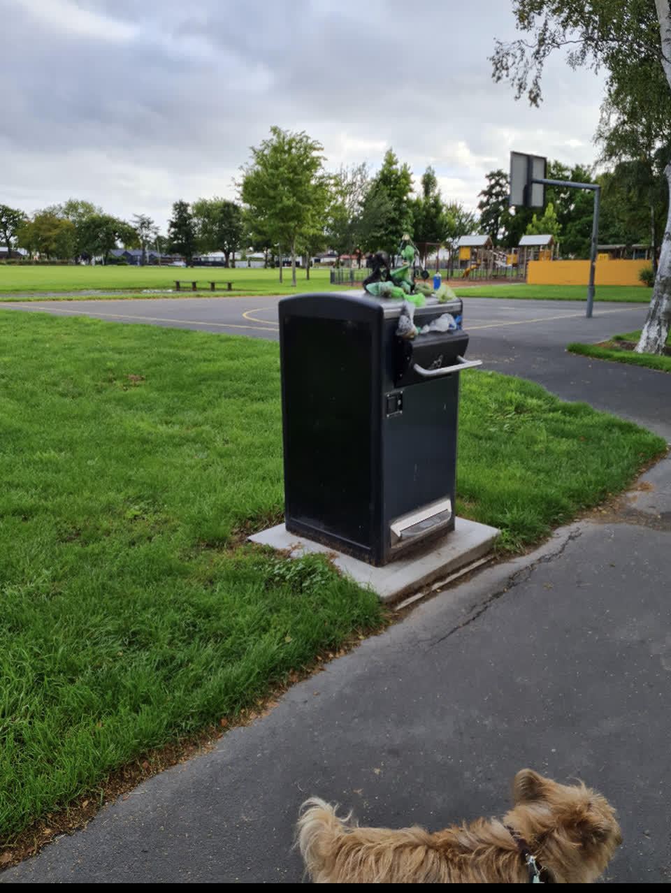 The photograph attached to this rubbish/recycling report