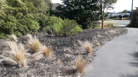 Parks, a report photo