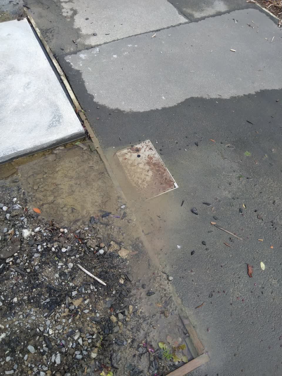 The photograph attached to this water leak report